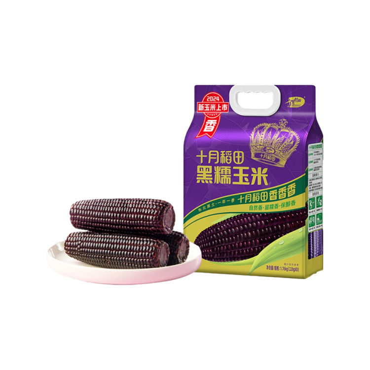 ShiyueDaotian Glutinous Corn Black 1.76KG 十月稻田牌黑糯玉米
