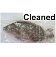 Frozen Fish Tilapia Clean GGS 550/750 10kg